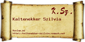 Kaltenekker Szilvia névjegykártya
